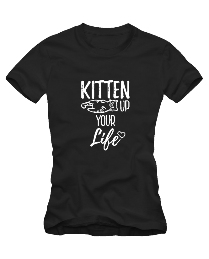 Kitten up your life Kitten up your life